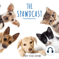 What Is Your Pet’s Diet MISSING? With Homeopathy Specialist Dr. Richard Pitcairn & Susan Pitcairn Episode 65