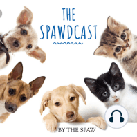 Uncover The Foundation Of Your Pet’s Health, With Veterinarian Dr. Voulgaris Episode 66