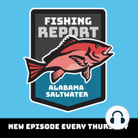 Mobile Bay, Dauphin Island, Gulf Shores and Orange Beach Fishing Reports for November 7-13, 2022