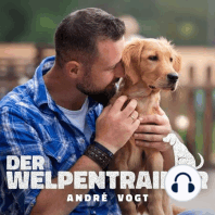 56: Mein Hund – Mein Ein und Alles!