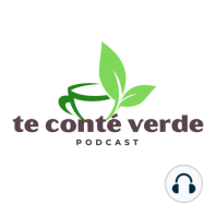 010. Te conté verde. Eficiencia, redes eléctricas inteligentes, horario de verano y más.