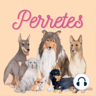 Ep17: Jack Russell Terrier