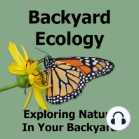 Thank You for Being Part of Backyard Ecology