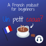 8 - Pourquoi apprends-tu le Français?