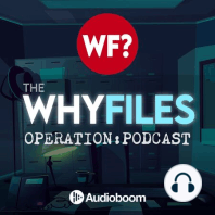 88: From Amityville to Annabelle | The Truth of Ed and Lorraine Warren's Scariest Case