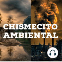 PODCAST REWIND 2020 - CRISIS CLIMATICA Y MAS