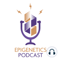 The Role of Pioneer Factors Zelda and Grainyhead at the Maternal-to-Zygotic Transition (Melissa Harrison)