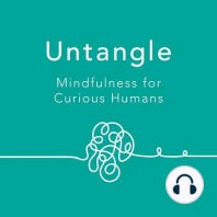 Congressman Tim Ryan - Politician and Author of "A Mindful Nation" Shares Why Mindfulness Matters