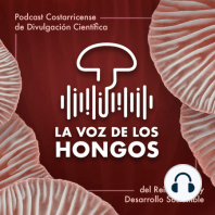 Servicios Ecosistémicos de los Hongos con Andrea Orellana Mondol - Episodio 8