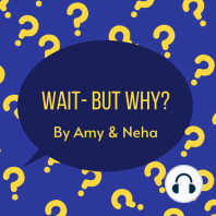 Wait- But Why? | EP:1