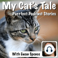 My Cat’s Tale – Cedric the Cat