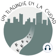 Ciencia Ciudadana_Un Tlacuache en la Ciudad