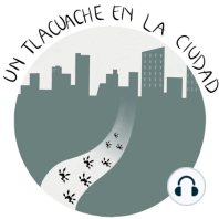 Ácaros_Un Tlacuache en la Ciudad