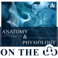 Episode 13: Diffusion, Osmosis, and Tonicity