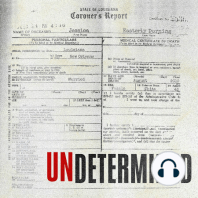 Expert Analysis (Bonus)