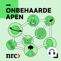 #1: Ons hallucinerende brein