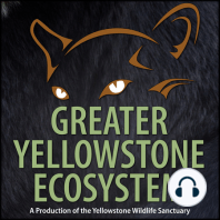 Episode 46: Northern Rockies Research and Educational Services