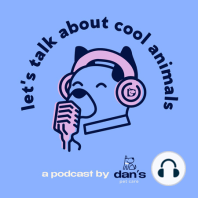 COOL ANIMAL PEOPLE! Ep. 4 - Dr. Evan Antin