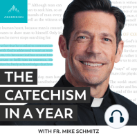 Introducing The Catechism in a Year (with Fr. Mike Schmitz)