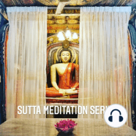 Guided Meditation - SCRATCHING THE SURFACE OF THE VATTHUPAMA SUTTA