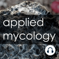 4. In Search of Mycotopia