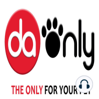 Epiodio 82: Trucos para adiestrar a tu cachorro