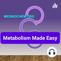 Metabolism Made Easy: Insulin secretion and synthesis