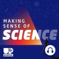 The World's Longest Running Study on Happiness, with Dr. Bob Waldinger