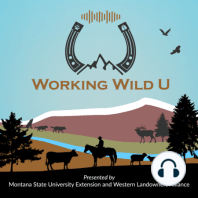 Wolves in the West | 01 | Defining the Problem