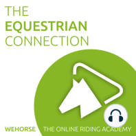 #15 Equine rehabilitation and injury management with Katie Hawkins of Unbridled Equine