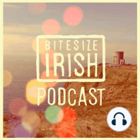 Best-Of Bits of Bitesize Irish Gaelic Podcast’s First Year (Ep. 27)