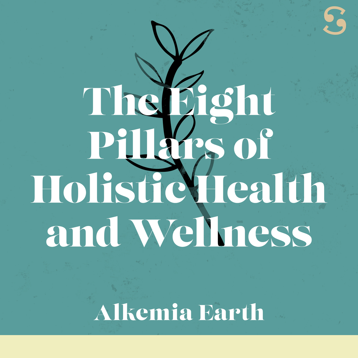 The Eight Pillars of Holistic Health and Wellness by Alkemia Earth