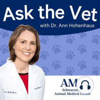 24. Who Tamed the Cat? What Genetics Tell Us About Feline History with Dr. Leslie Lyons