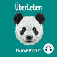 ÜberLeben - Ein Podcast des WWF
