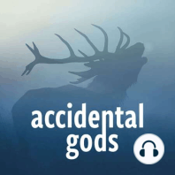 Accidental Gods Podcast bookclub with writer and commentator, Ece Temelkuran