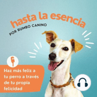 17. Cómo afecta la parte humana y perruna tanto en la educación canina como en las IAA