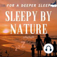 Sleepy by Nature Ep6 | Sunrise Tropical Beach Waves Relaxing Ocean Atlantic Pacific Mediterranean Sea Ambiance Ambience Mer Son Sounds Water Wave Sound Life Vie - Sleep meditation Relaxation Relax to study winter Spring Summer season Wind Windy Day time
