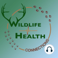 #2: Wildlife Vet Dr. Mark Pokras on the Origins of Conservation Medicine