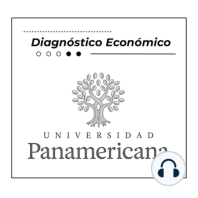 Diagnóstico Económico E2 T17: La Deuda de las tarjetas de Crédito en México.