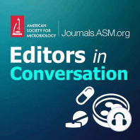 Discussing β-lactamase/β-lactamase inhibitors (AAC ed.)