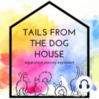Separation Anxiety & Multi-Dog Households