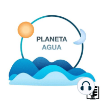 Foca Monje del Mediterráneo con Fernando Aparicio | Planeta Agua #11