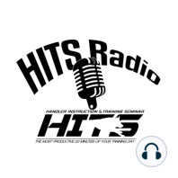 *Bonus Episode* - All Four HITS Partners Discuss How HITS Started and Where it is Going