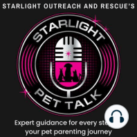 Welcome to Starlight Pet Talk: Our Journey Begins!