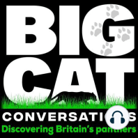 BCC EP:75 View from the train – the peripheral panther