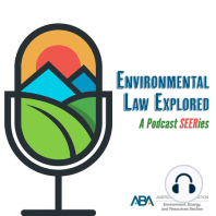 Environmental Laws and Regulations for Emerging Microplastics Concerns Series: Episode 6 - Current Regulatory Efforts