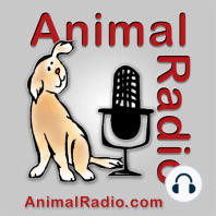 1212.  Actress Joyce DeWitt Talks Dogs - Vapes Top The List Of ER Veterinary Visits