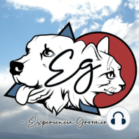 Episodio N°14 | Turbinas, secadoras y la "MAQUINA" de secado canino