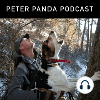 S2E4 Raising Lion Hounds with Janis Putelis