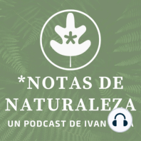 Notas breves de Naturaleza #8